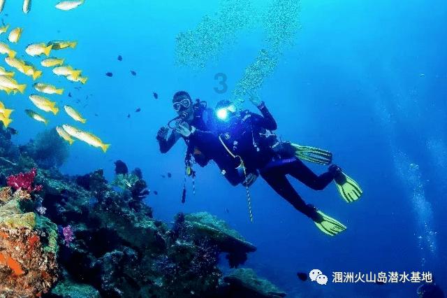 德军总部：新秩序